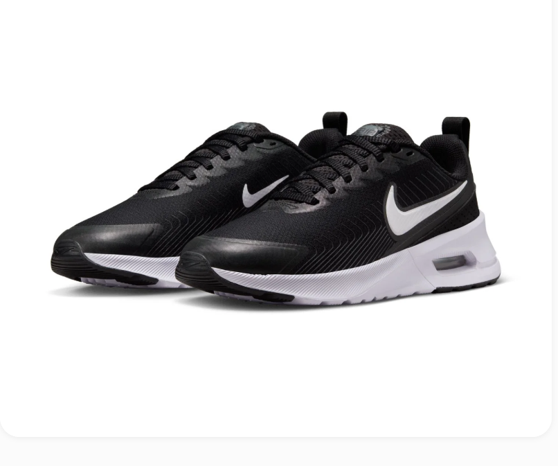 Nike Air Max Black and White Low-Top Sneakers
