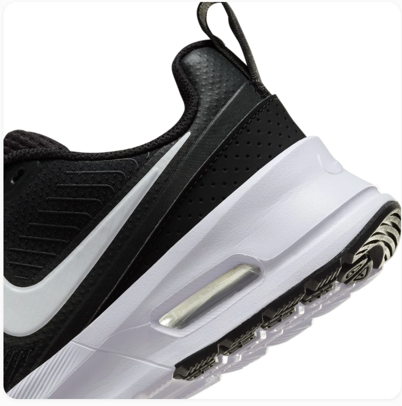 Nike Air Max Black and White Low-Top Sneakers