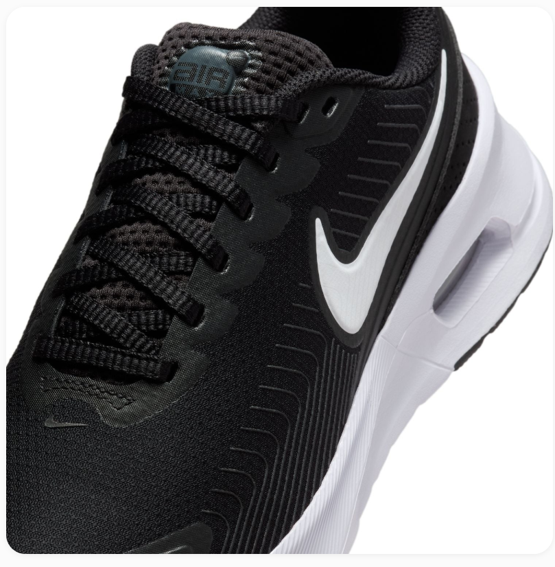 Nike Air Max Black and White Low-Top Sneakers